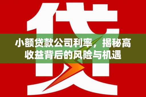 江北小额贷款公司利率，揭秘高收益背后的风险与机遇
