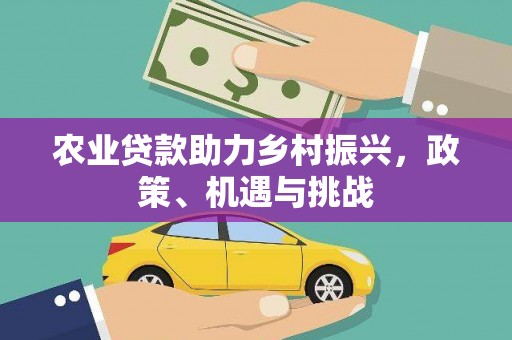 江北农业贷款助力乡村振兴，政策、机遇与挑战