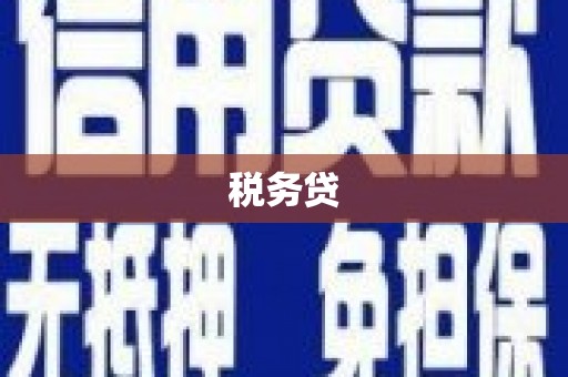 江北税务贷