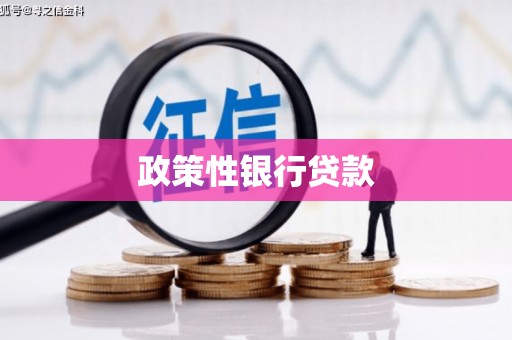江北政策性银行贷款