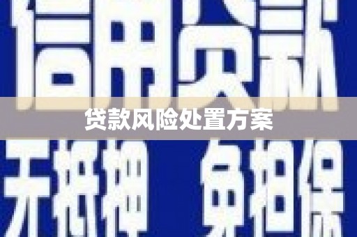 江北贷款风险处置方案