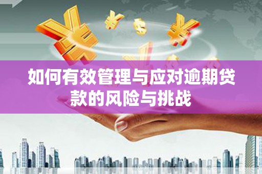 江北如何有效管理与应对逾期贷款的风险与挑战