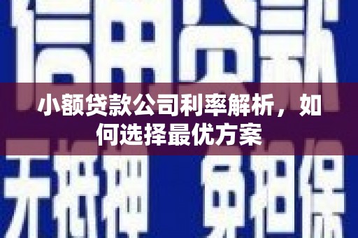 江北小额贷款公司利率解析，如何选择最优方案