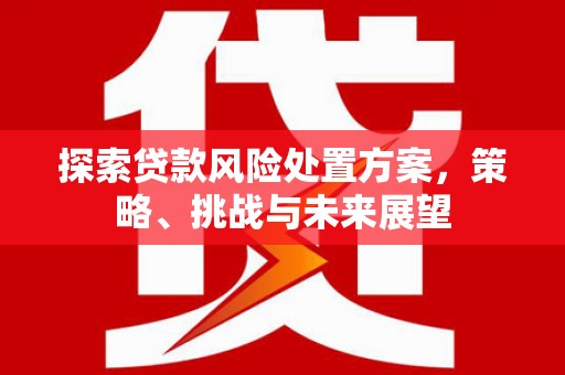 江北探索贷款风险处置方案，策略、挑战与未来展望