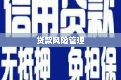 江北贷款风险管理