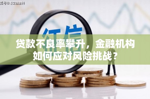江北贷款不良率攀升，金融机构如何应对风险挑战？