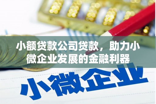 江北小额贷款公司贷款，助力小微企业发展的金融利器