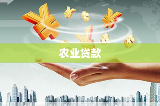 江北农业贷款