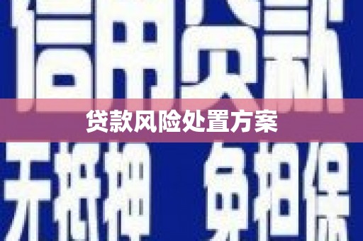 江北贷款风险处置方案