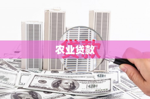 江北农业贷款