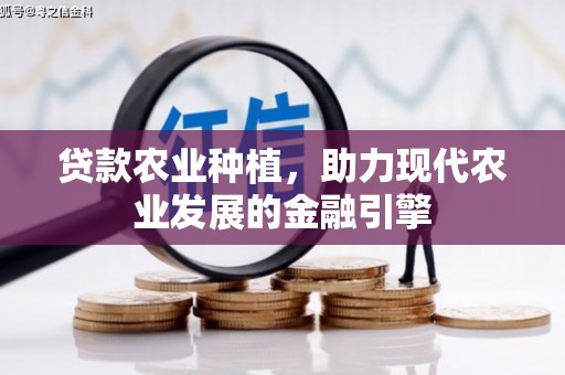 江北贷款农业种植，助力现代农业发展的金融引擎