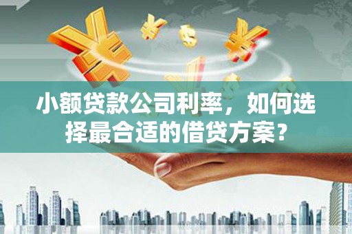 江北小额贷款公司利率，如何选择最合适的借贷方案？