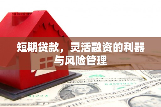 江北短期贷款，灵活融资的利器与风险管理