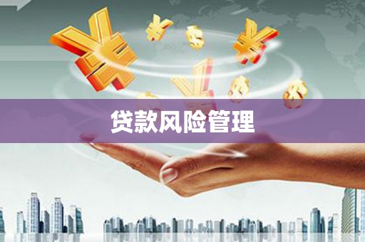 江北贷款风险管理
