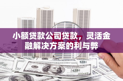 江北小额贷款公司贷款，灵活金融解决方案的利与弊