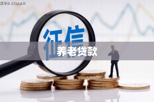 江北养老贷款